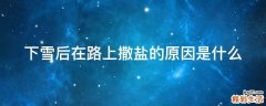 下雪后在路上撒盐的原因是什么