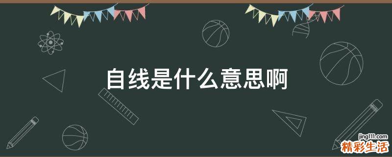 自线是什么意思啊
