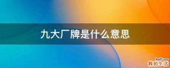 九大厂牌是什么意思