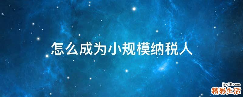 怎么成为小规模纳税人