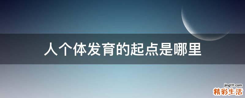 人个体发育的起点是哪里