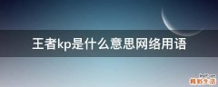 王者kp是什么意思网络用语