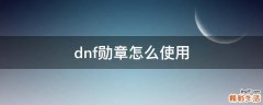 dnf勋章怎么使用