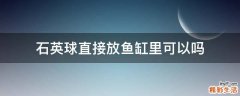 石英球直接放鱼缸里可以吗