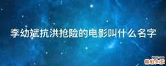 李幼斌抗洪抢险的电影叫什么名字