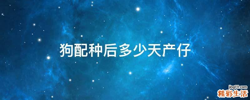狗配种后多少天产仔