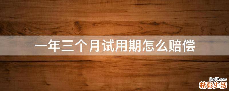 一年三个月试用期怎么赔偿