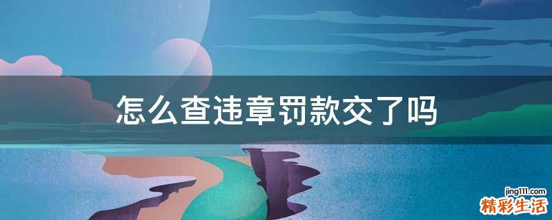 怎么查违章罚款交了吗