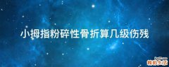小拇指粉碎性骨折算几级伤残