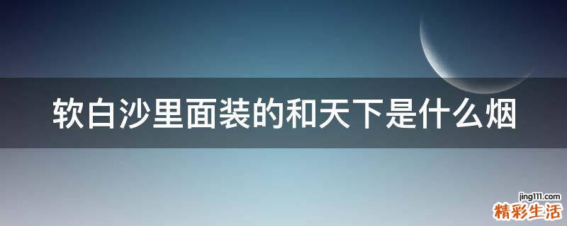 软白沙里面装的和天下是什么烟