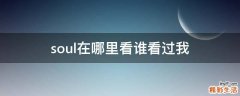 soul在哪里看谁看过我
