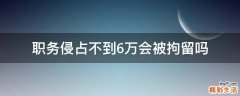 职务侵占不到6万会被拘留吗