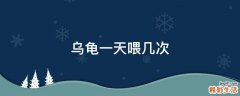 乌龟一天喂几次