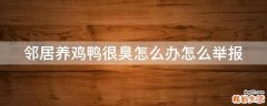 邻居养鸡鸭很臭怎么办怎么举报
