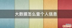 大数据怎么查个人信息
