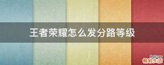 王者荣耀怎么发分路等级