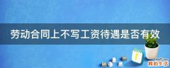 劳动合同上不写工资待遇是否有效
