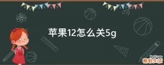 苹果12怎么关5g