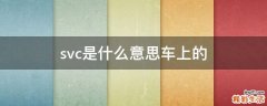svc是什么意思车上的