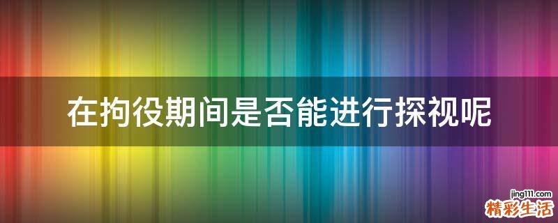 在拘役期间是否能进行探视呢