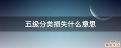 五级分类损失什么意思