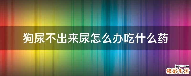 狗尿不出来尿怎么办吃什么药