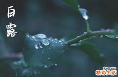 2023年白露几点几分几秒