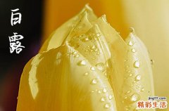 2023白露节气是几月几日开始