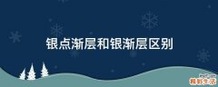 银点渐层和银渐层区别