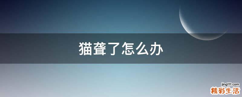 猫聋了怎么办