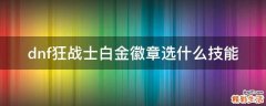 dnf狂战士白金徽章选什么技能