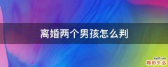 离婚两个男孩怎么判