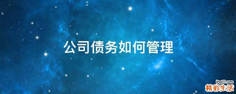 公司债务如何管理