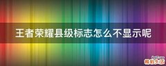王者荣耀县级标志怎么不显示呢