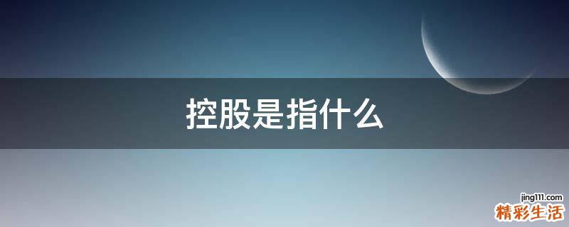 控股是指什么