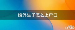 婚外生子怎么上户口