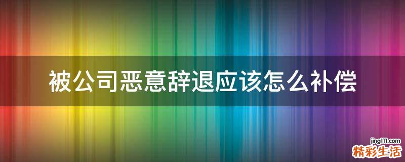 被公司恶意辞退应该怎么补偿