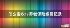 怎么查农村养老保险缴费记录
