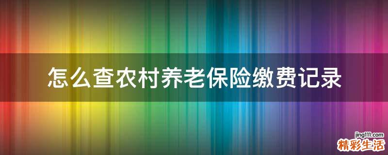 怎么查农村养老保险缴费记录