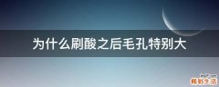 为什么刷酸之后毛孔特别大