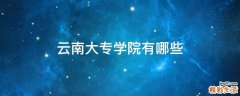 云南大专学院有哪些