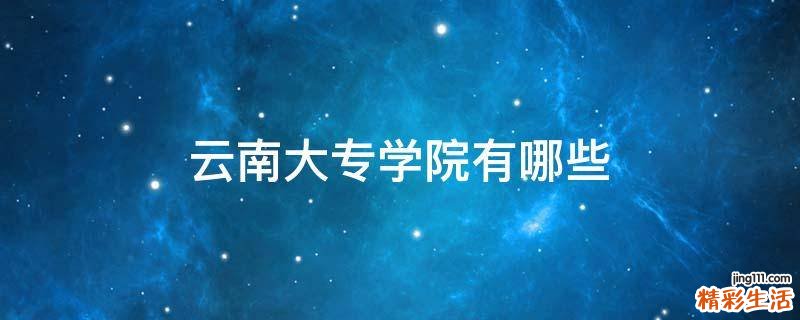 云南大专学院有哪些