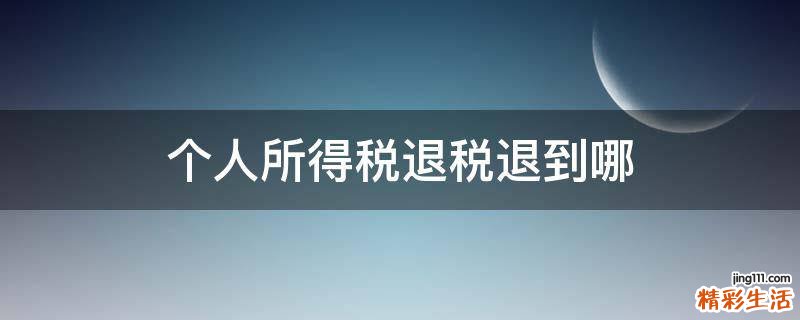 个人所得税退税退到哪