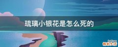 琉璃小银花是怎么死的