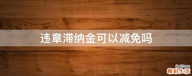 违章滞纳金可以减免吗