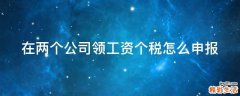在两个公司领工资个税怎么申报