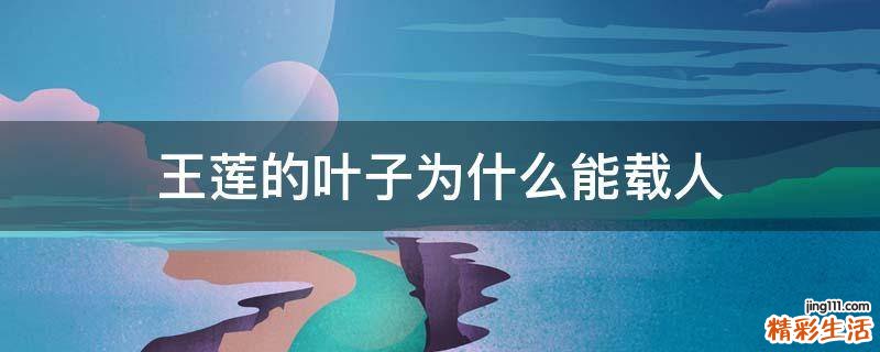 王莲的叶子为什么能载人