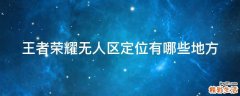 王者荣耀无人区定位有哪些地方