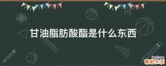 甘油脂肪酸酯是什么东西