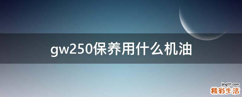 gw250保养用什么机油
